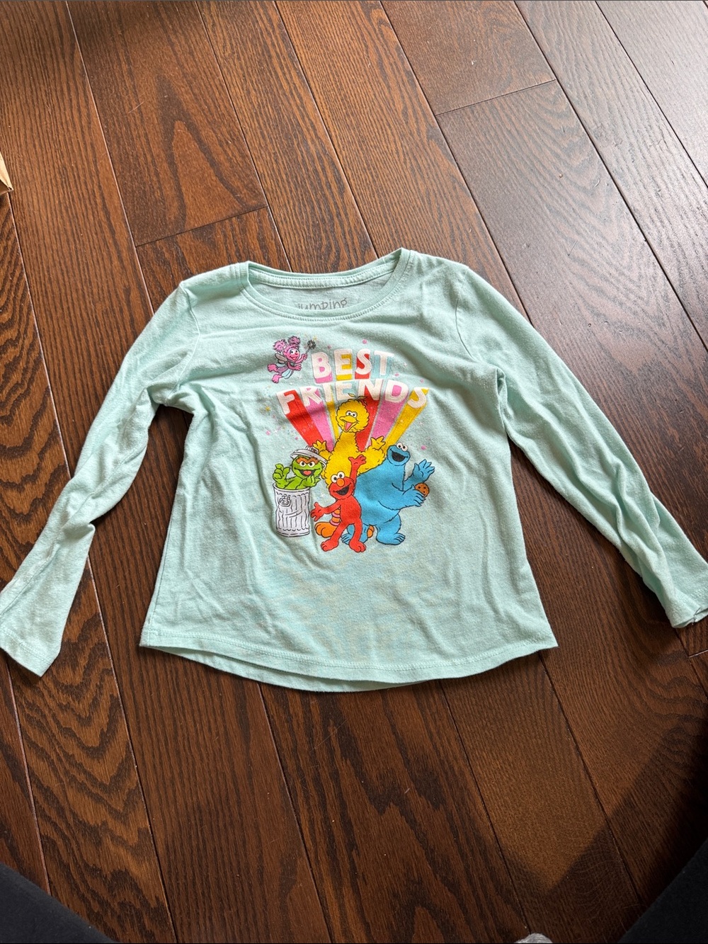 Unisex Sesame Street Light Mint 'Best Friends' Long Sleeve Tee